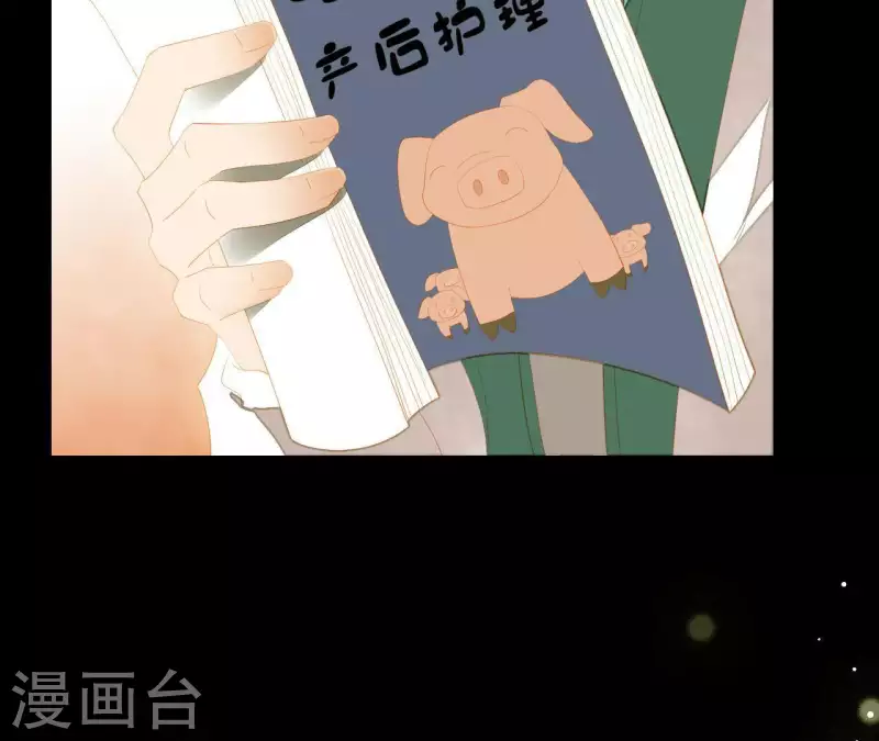 第94话 母猪的产后护理 第58页