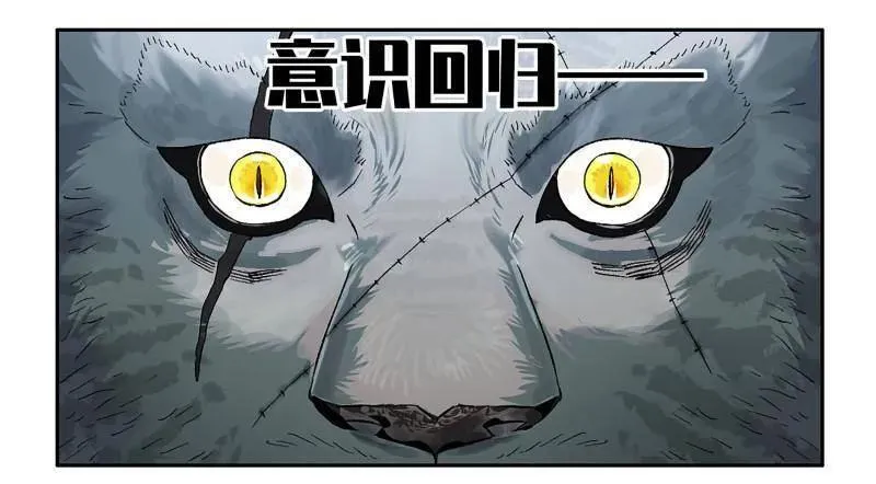 第436话 第三卷 120 第三形态 第54页