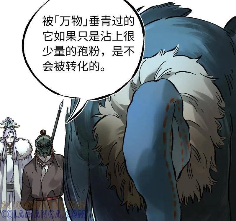 第487话 卷三 168 拜亚提斯的本质 第13页
