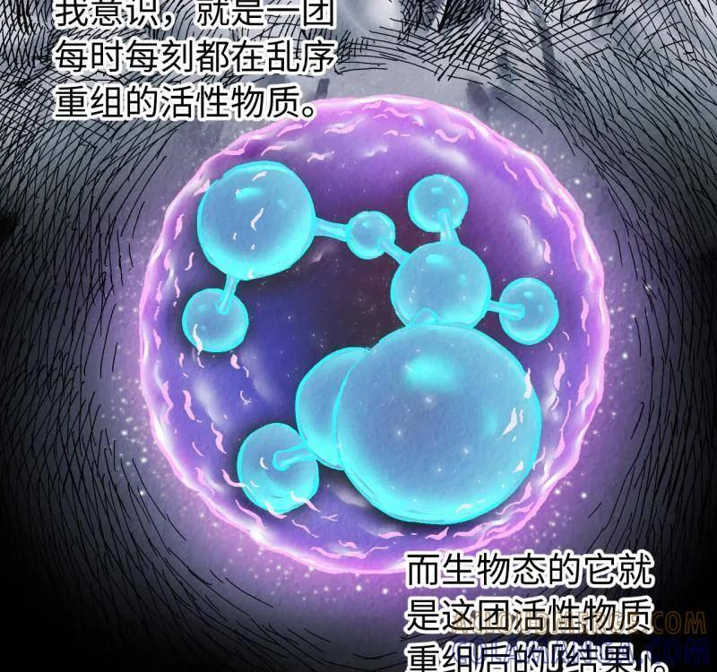 第487话 卷三 168 拜亚提斯的本质 第28页