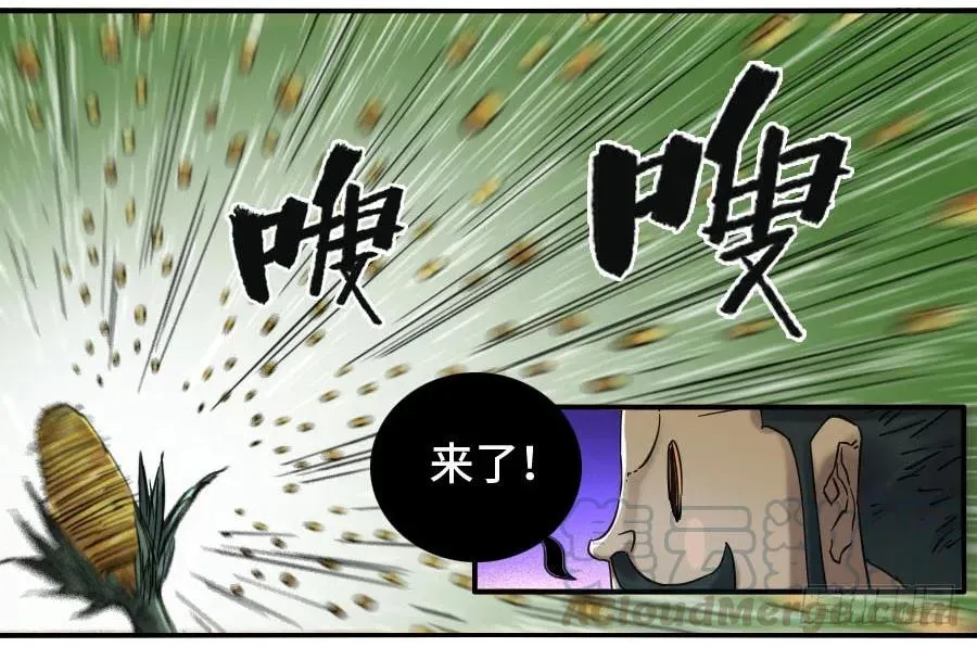 121误判 第41页