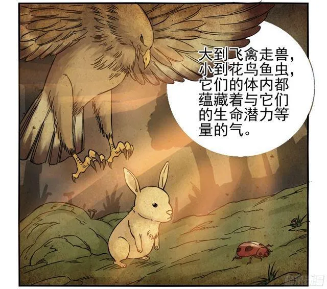 第三十九条：内视 第13页