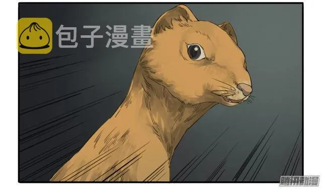 第十八条：见功夫 第28页