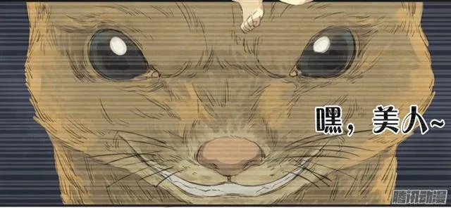 第十四条：请求 第35页