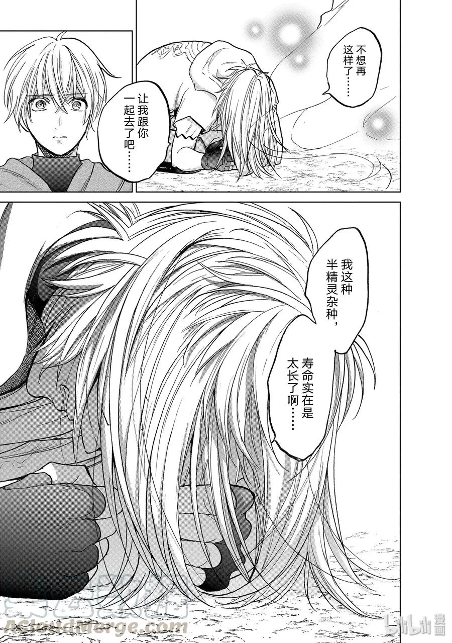 17 “葬送” 第29页