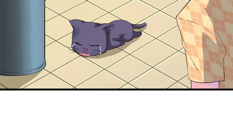 第75话 猫少女 第14页
