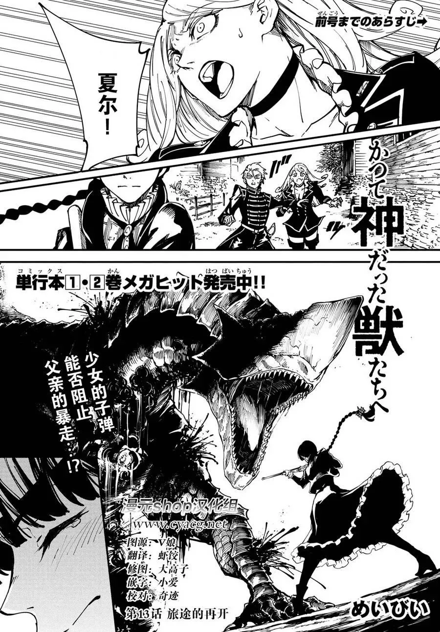13 第2页