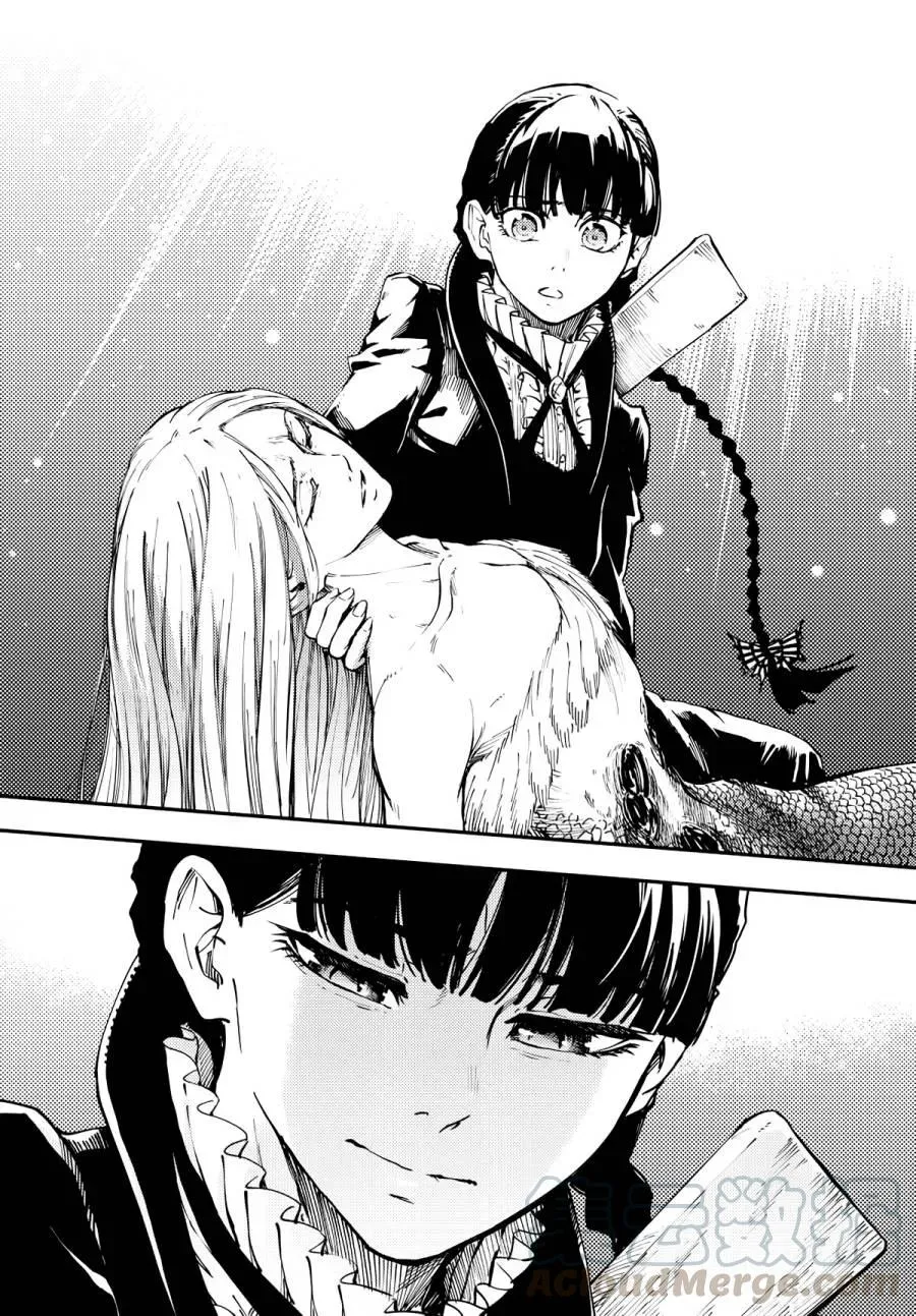 15 第16页