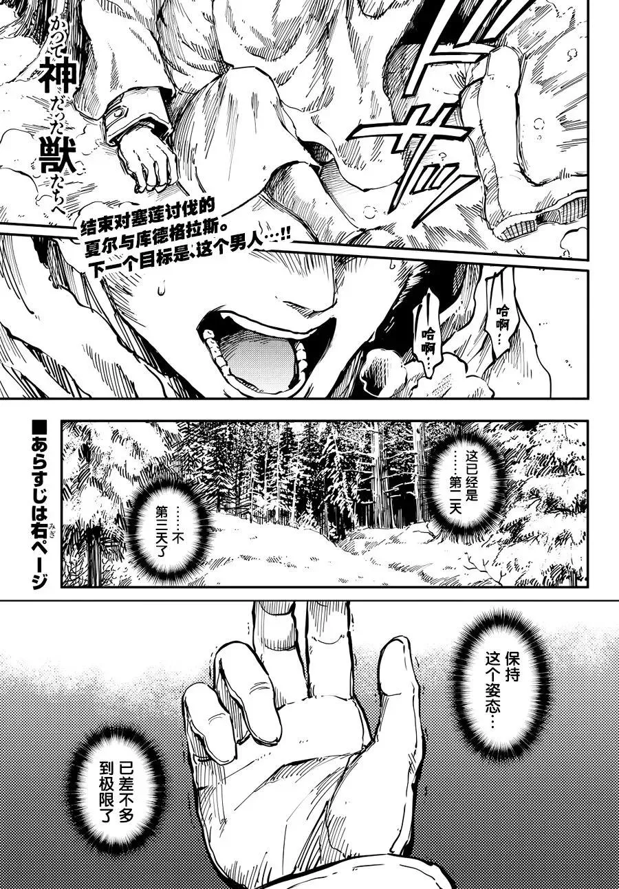 17 第3页