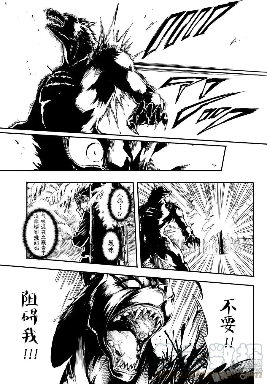 20 第13页