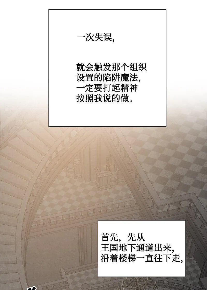 214 制造混乱 第52页