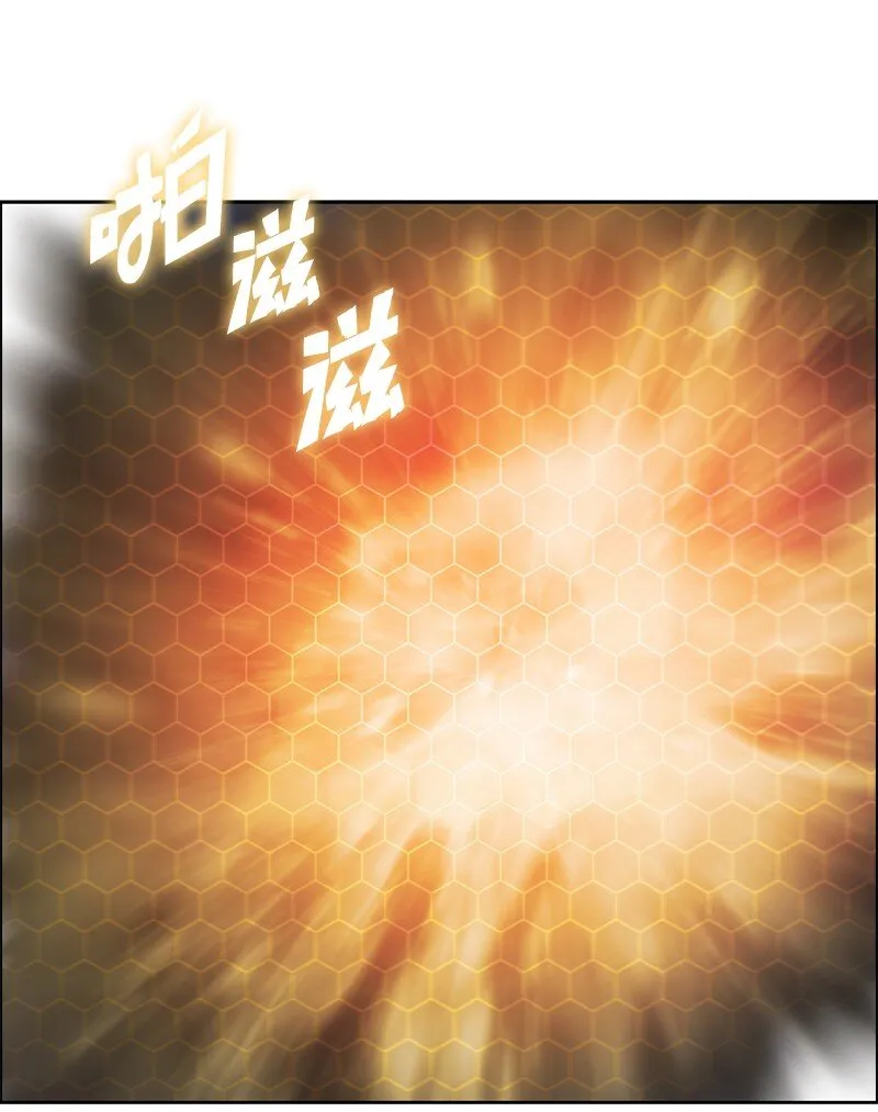 243 租赁虎克 第14页