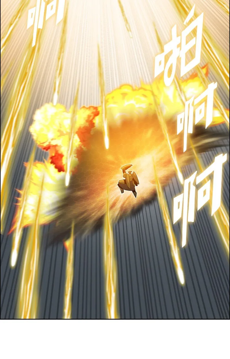 243 租赁虎克 第49页