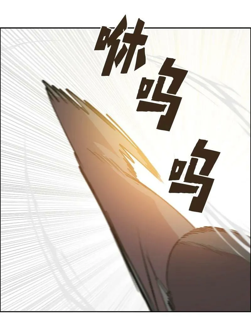 265 终极虎克 第31页