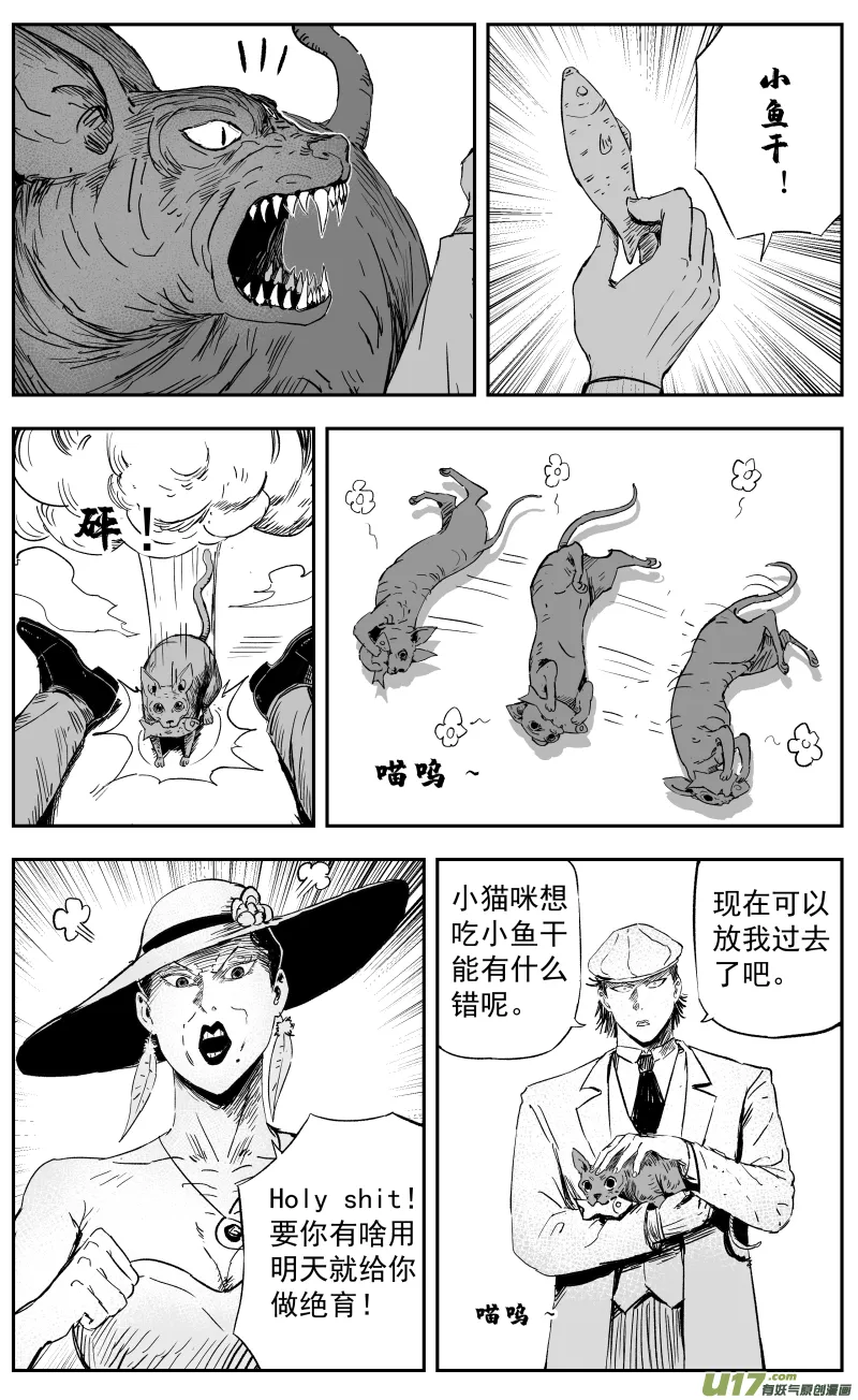 第一百零八回 塞利夫人 第9页