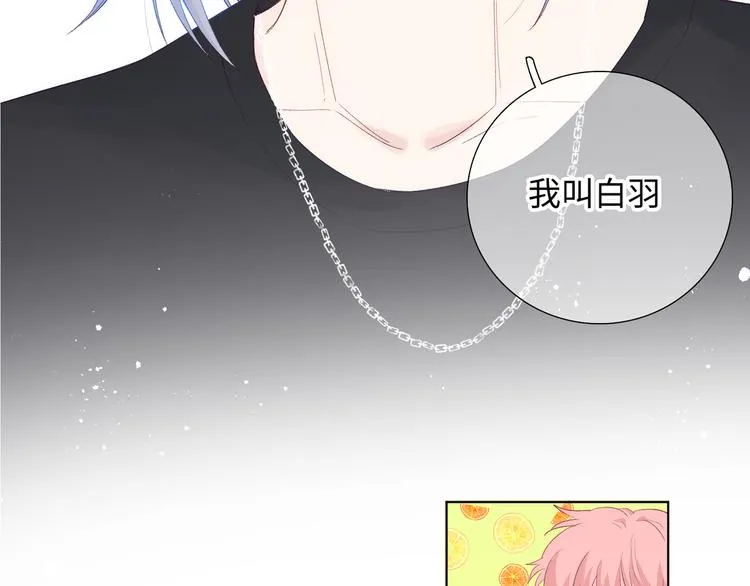 第13话 双胞胎的魅力 第44页