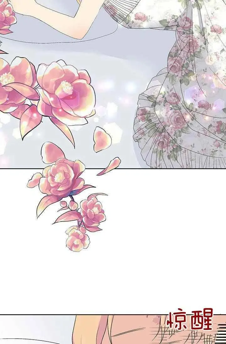 序言 第27页