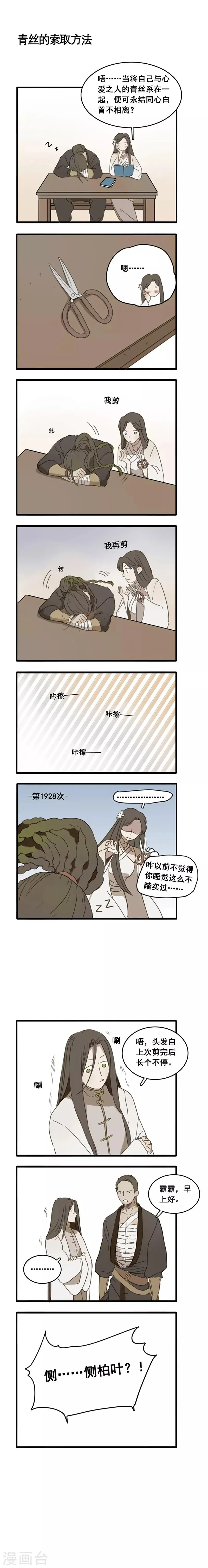 番外2 人物揭秘——白首乌+侧柏叶 第5页