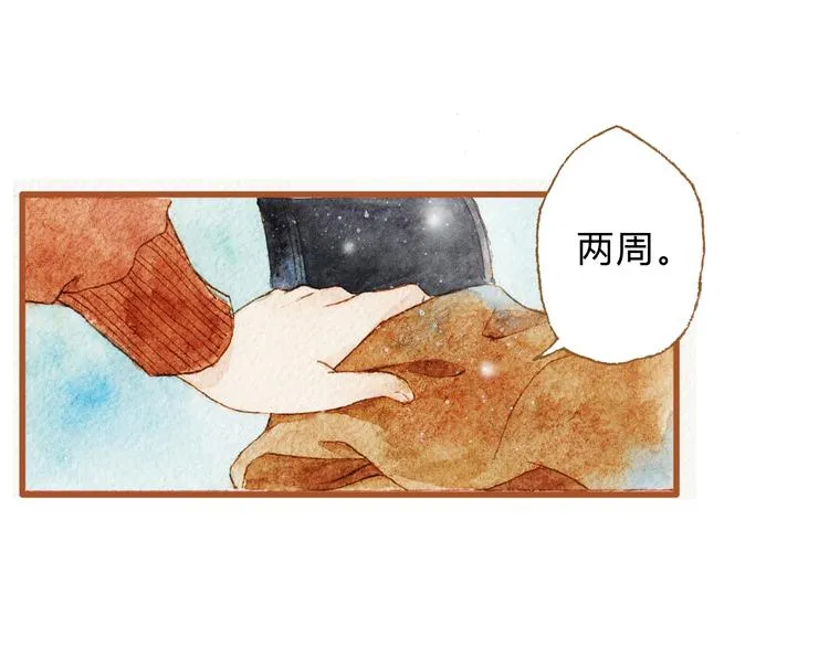 第43话 与他第一次同床共枕 第11页