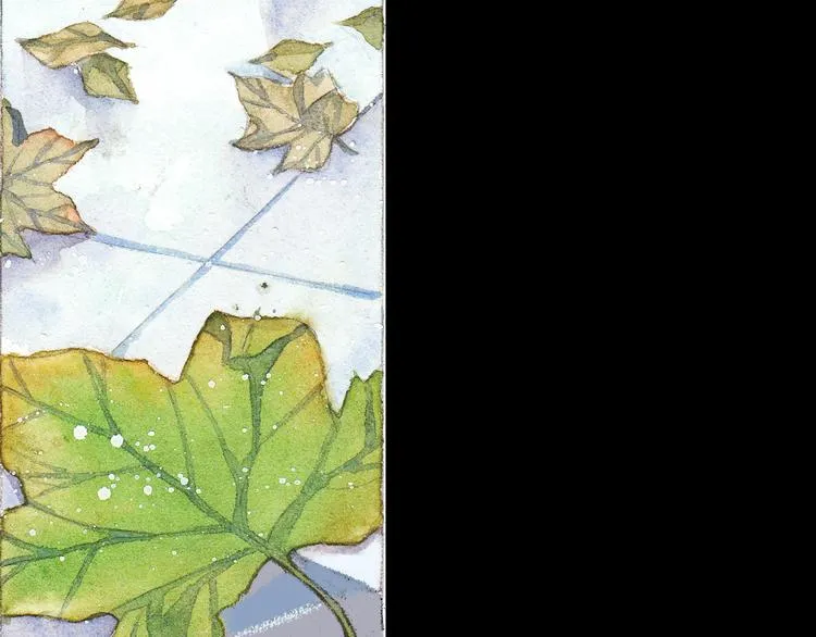 第3话 灰姑娘的“水晶鞋” 第18页