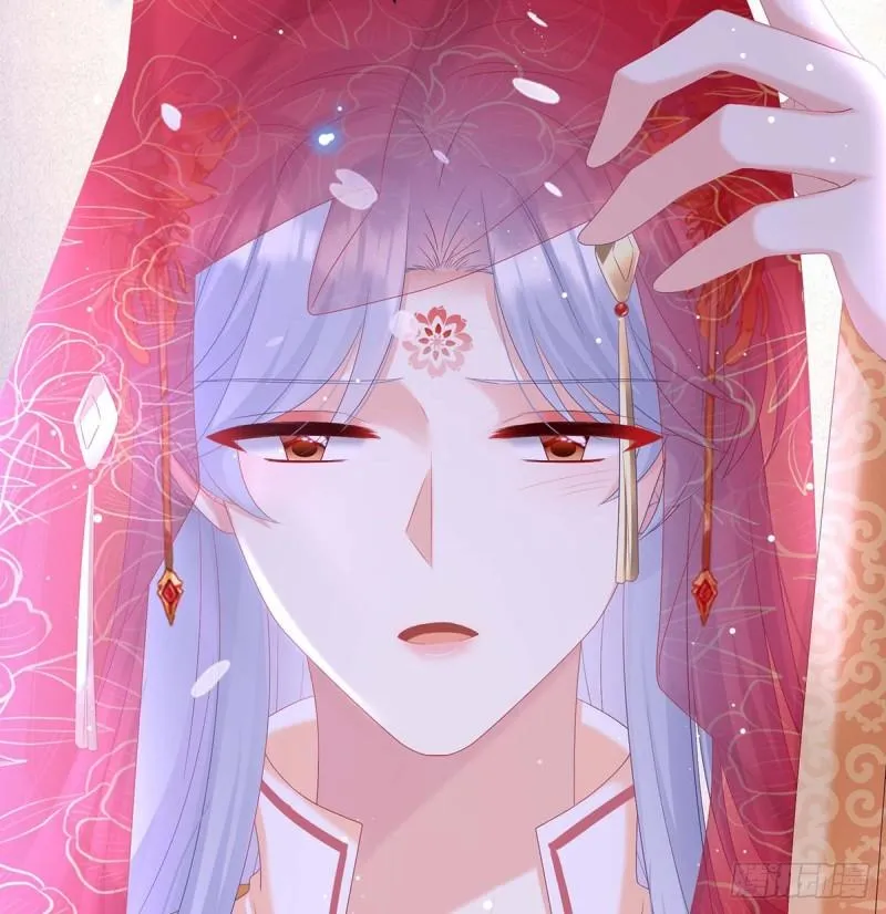 成亲 第69页