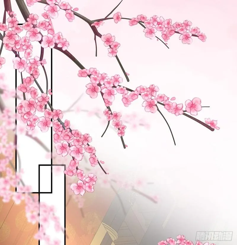 参加选秀 第43页