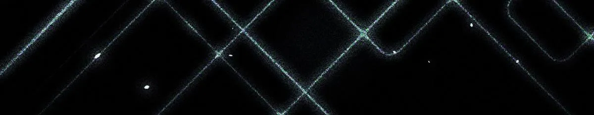 55 第48页