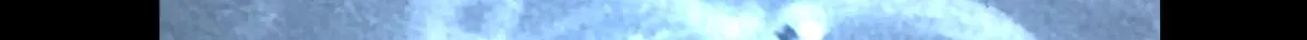 51 第66页