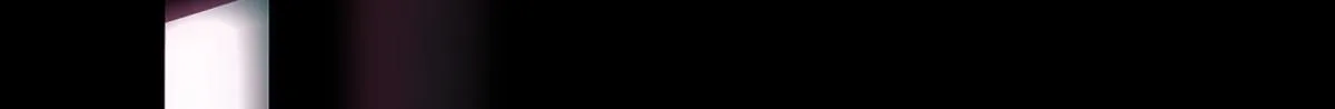 48 第46页