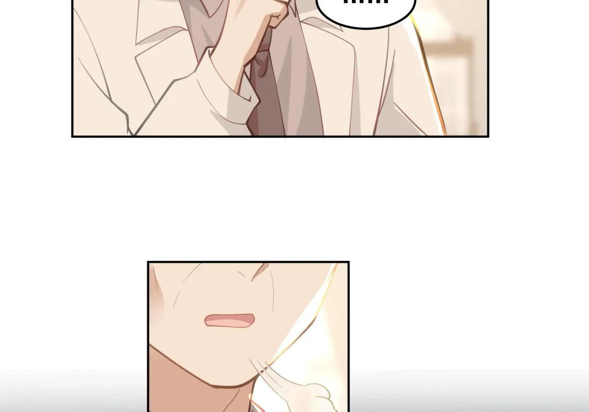 43 第61页