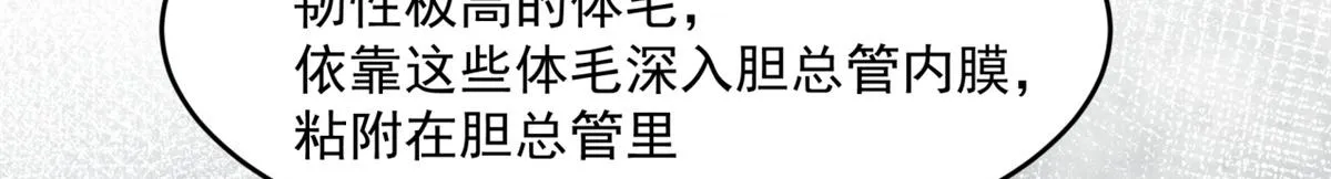 36 第31页