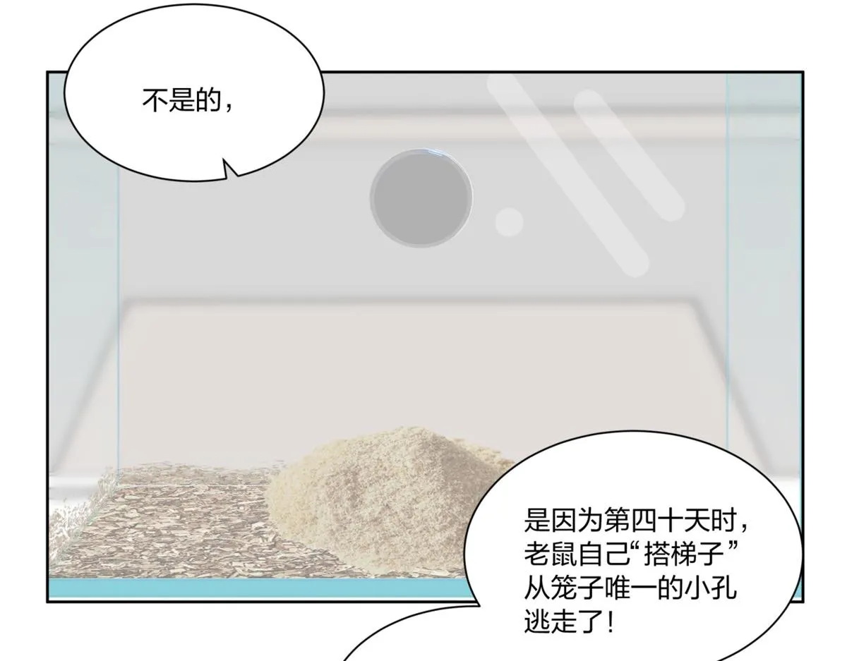 29 第29页