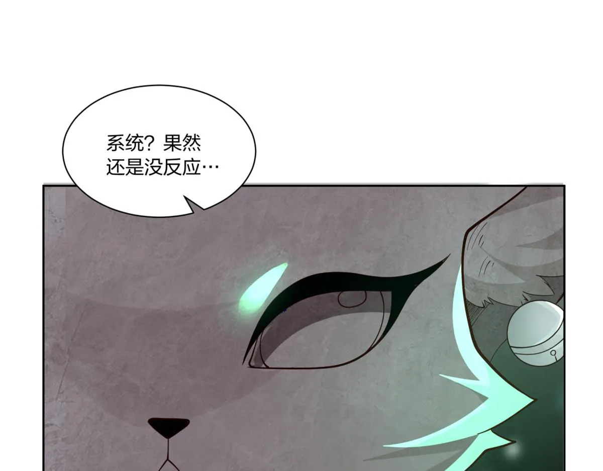 28 第30页