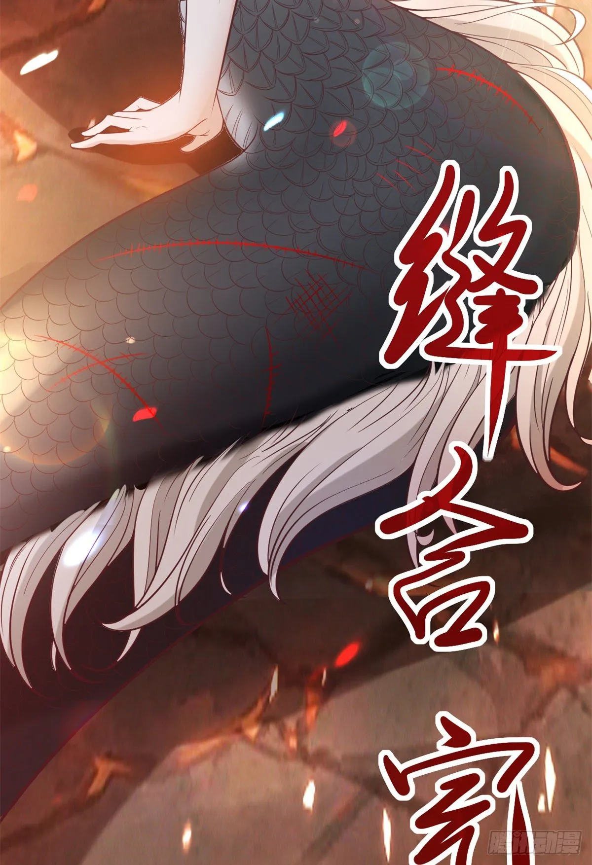 04 肌腱缝合手术 第11页