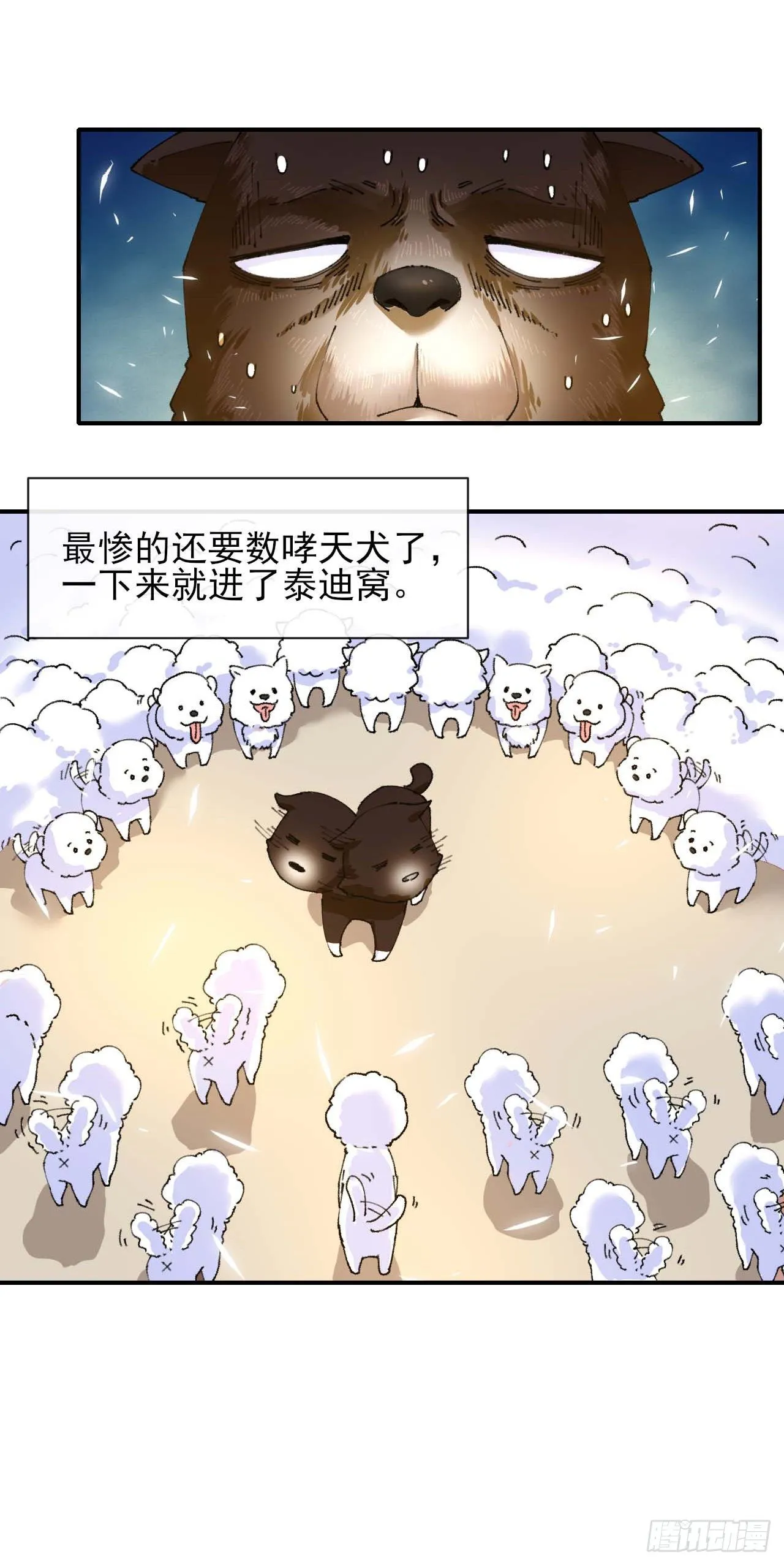 214星宿下乡 第26页