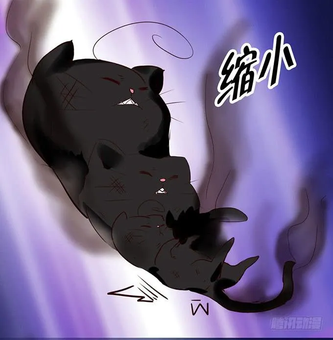 神秘的美少女！ 第25页