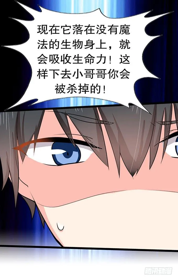 我的使魔 第13页