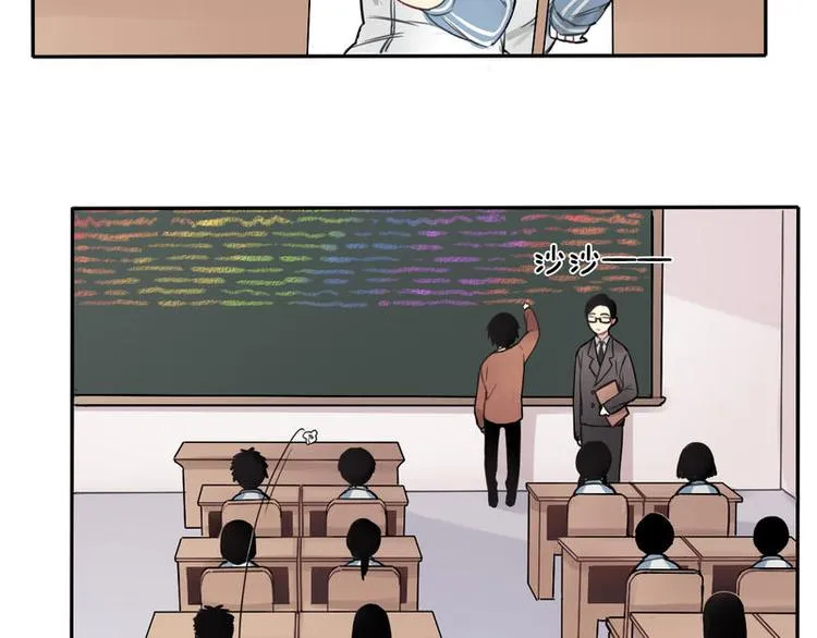 5 第8页