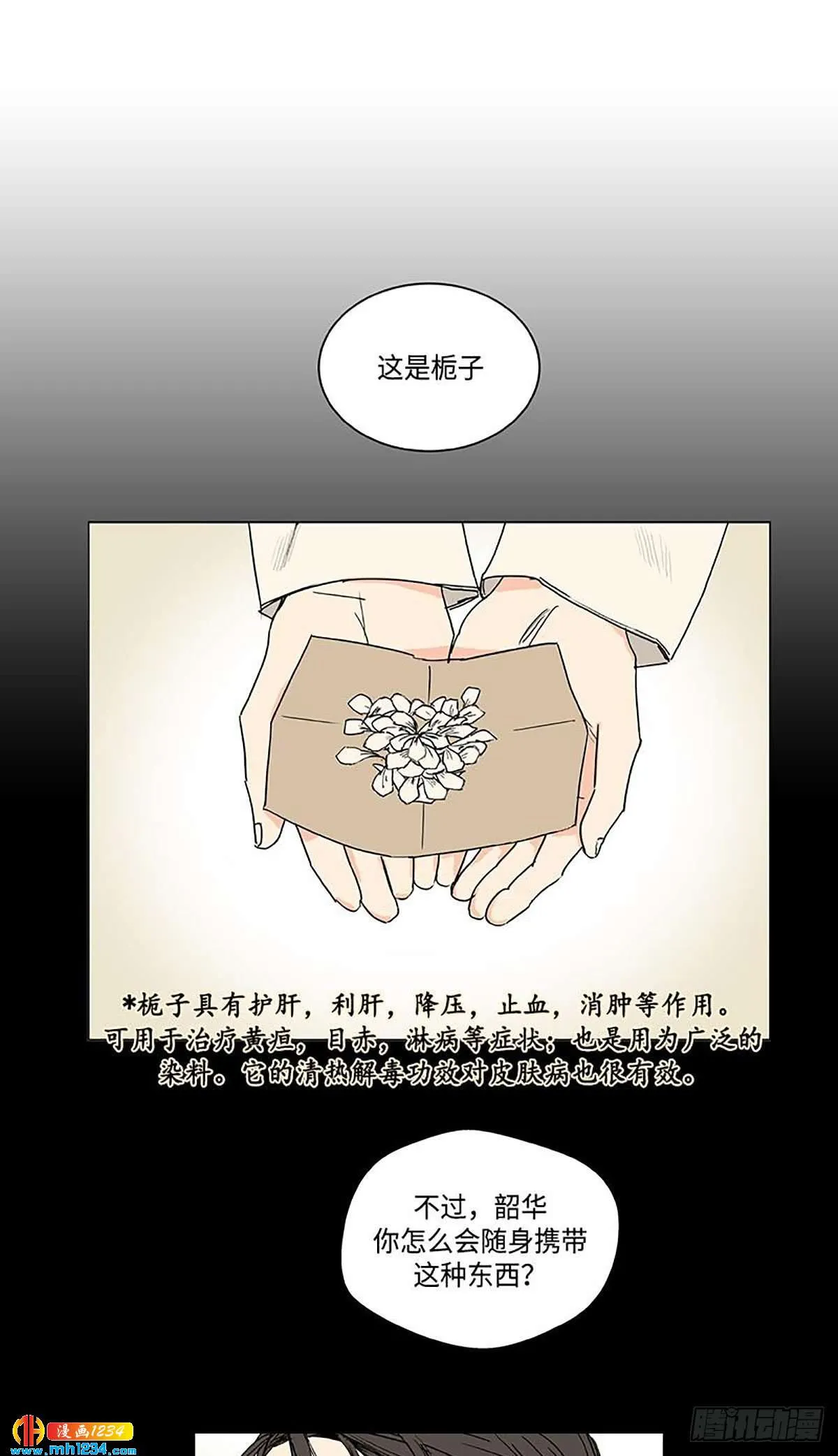 026 第5页