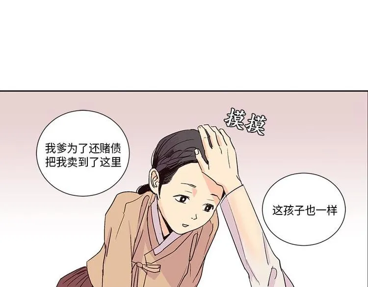 003 第28页