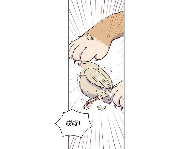 004 第45页