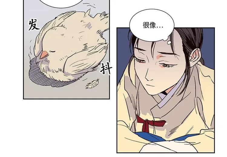 004 第47页