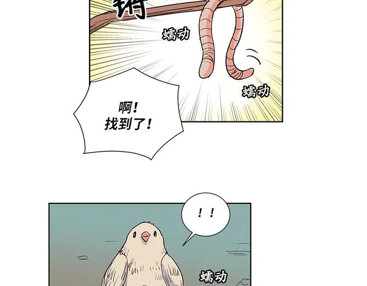 004 第53页