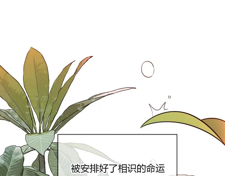 第40话 彩虹 第157页