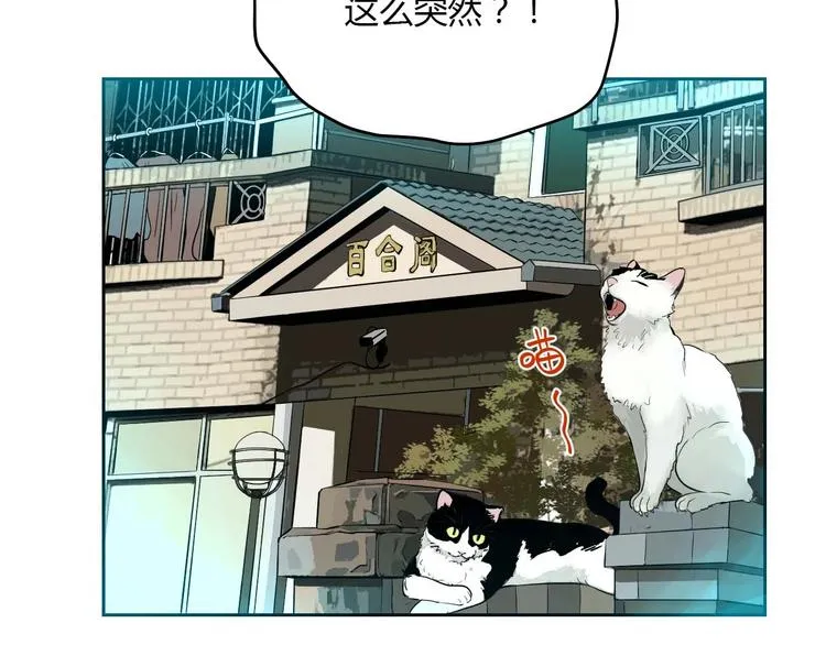 第27话 答案 第15页