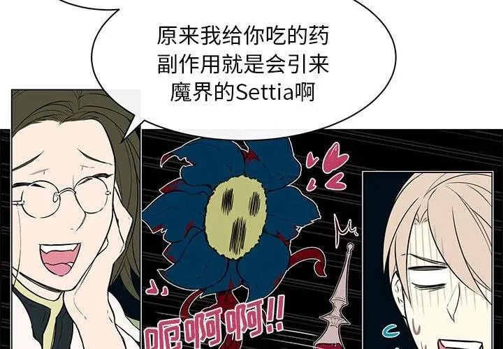 25 第3页