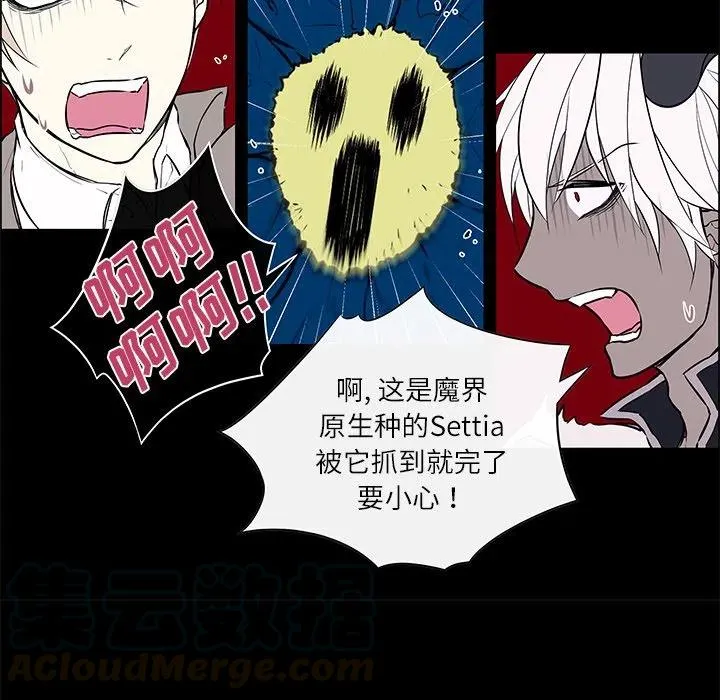 24 第7页