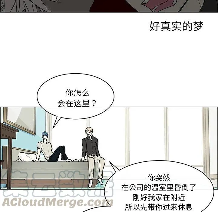 21 第19页