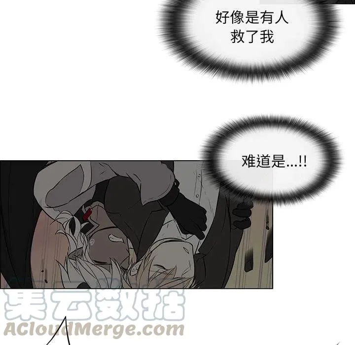 17 第43页