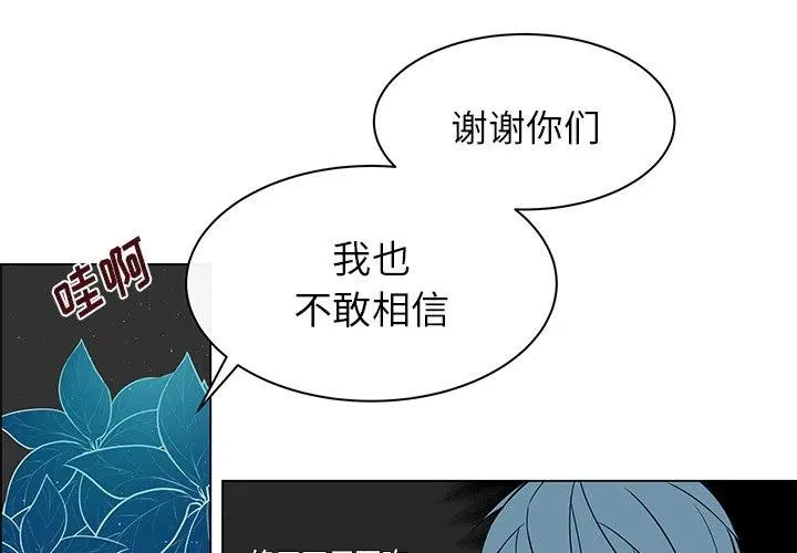 14 第3页